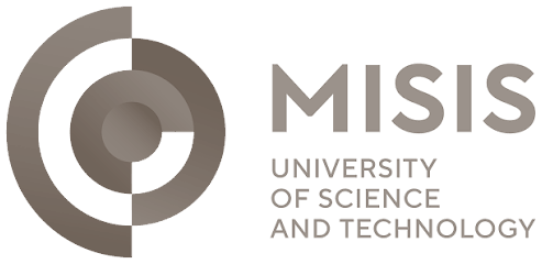 National University of Science and Technology MISIS
